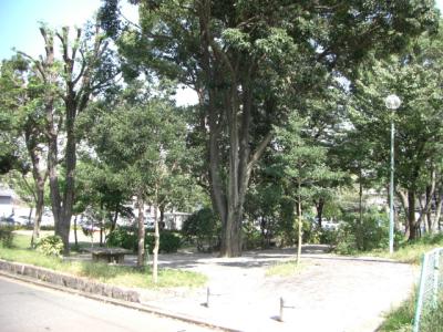 東月隈１号緑地