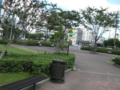 千代東緑地