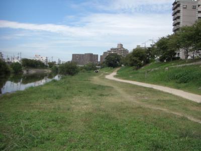 那珂川河川緑地