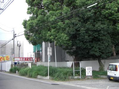 諸岡１号緑地