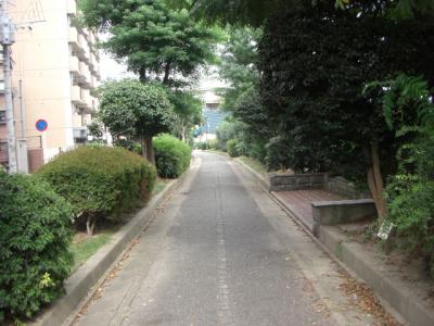 那珂緑道