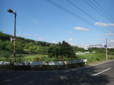 福浜４号緑地