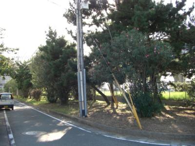 福浜６号緑地