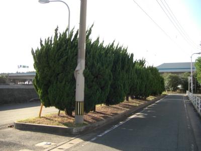 福浜８号緑地