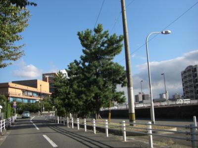 福浜１３号緑地