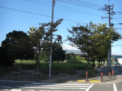 福浜緑地