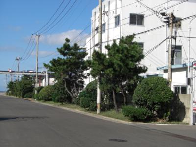荒津３号緑地