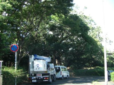 平尾山荘１号緑地