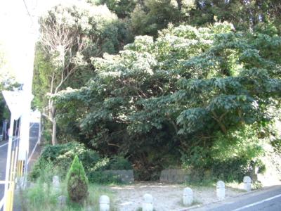 小笹東緑地