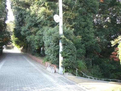 桜坂緑地