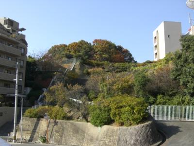 笹丘緑地