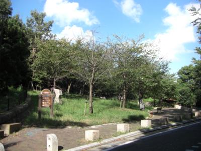 赤坂西緑地