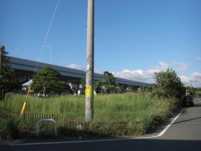 福浜１５号緑地