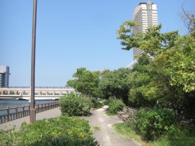 樋井川河畔緑道