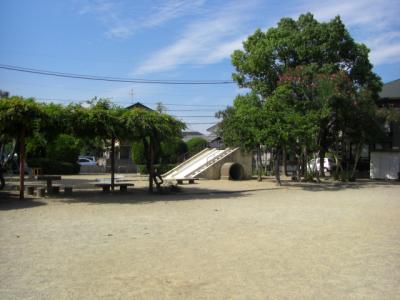 五十川公園