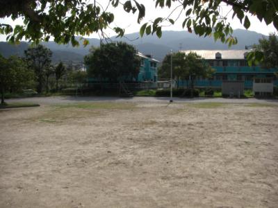 柏原林崎公園