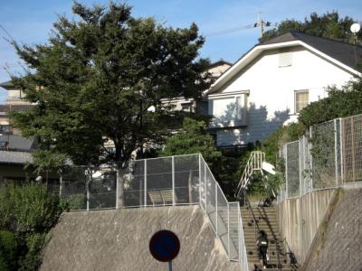 平和５号公園