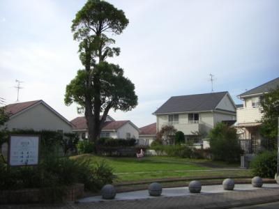 柏原３号公園