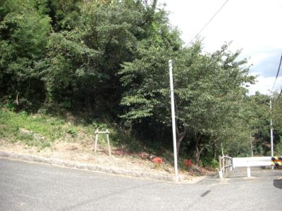 平和南緑地