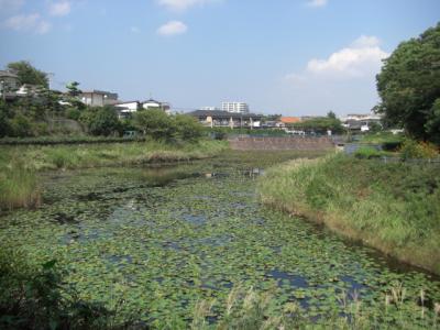 茶山中央公園