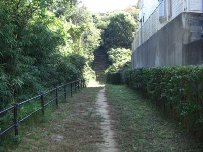 梅林緑道