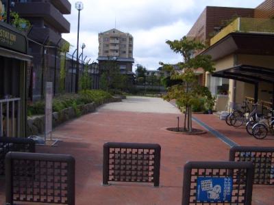 原１１号公園