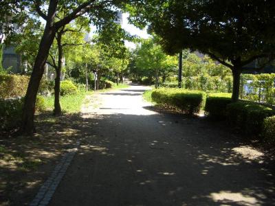 百道２号緑道
