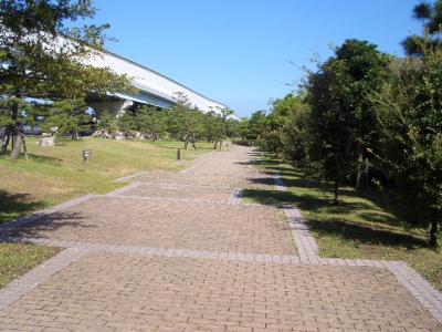 百道浜西緑地