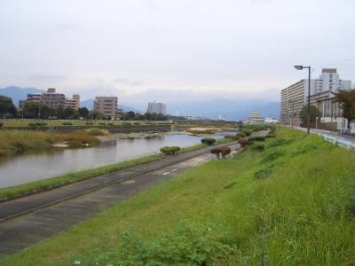 室見川緑地