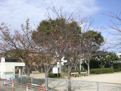 平田公園