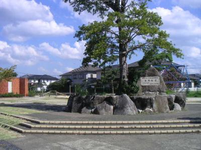 横浜西公園