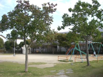 今宿楠木公園