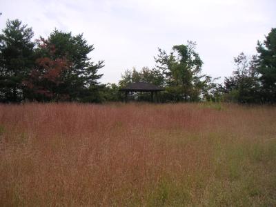 徳永南公園