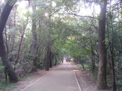 生の松原海岸森林公園