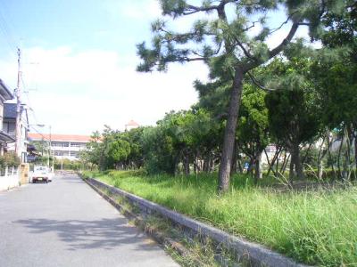 姪浜１号緑地
