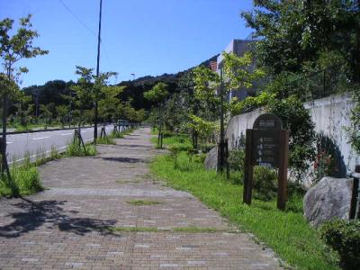室見が丘緑地