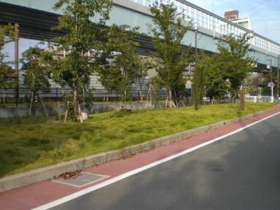 石丸２号緑地