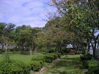 室見川河畔緑道