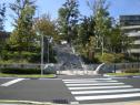 照葉の森公園