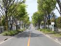 長住東西線