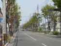 油山観光道路