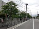 壱岐団地内街路