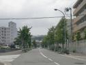 拾六町団地地内街路