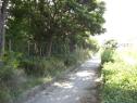 箱崎ふ頭３号緑地