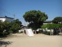 東光寺公園