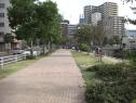 須崎緑地