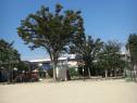 仲ノ原公園