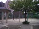 姪浜２号公園
