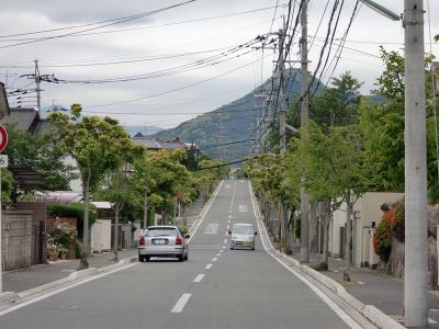 生の松原ｸﾞﾘｰﾝﾊｲﾂ街路