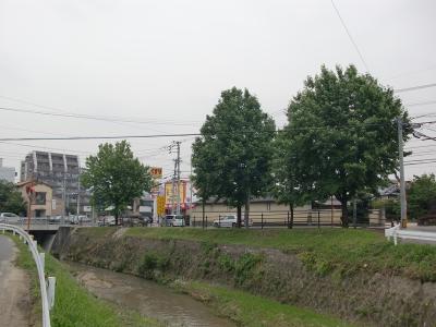 桜坂桧原線